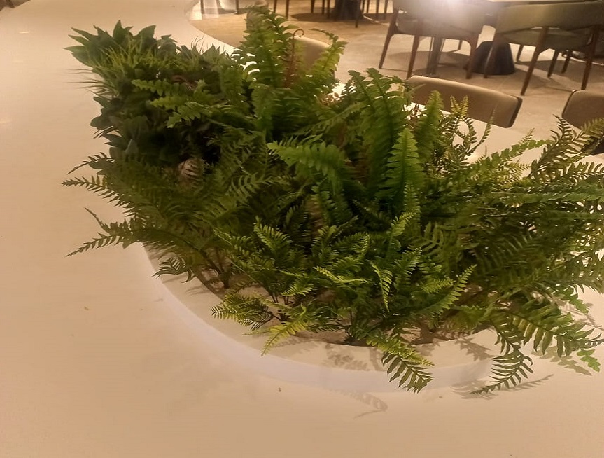 Greenscape Creation